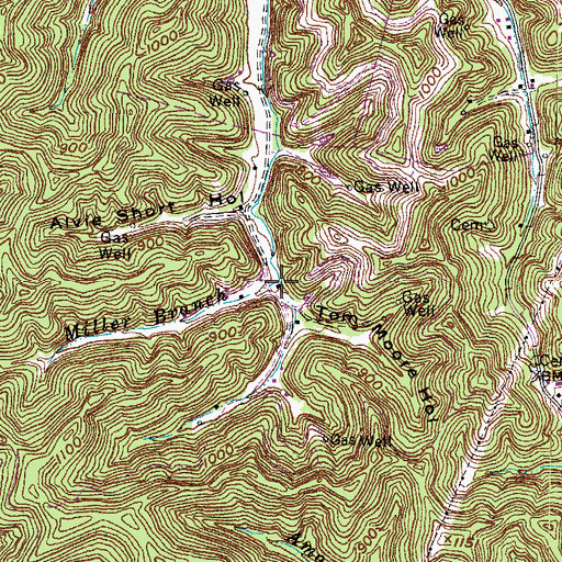Topographic Map of Miller Branch, KY