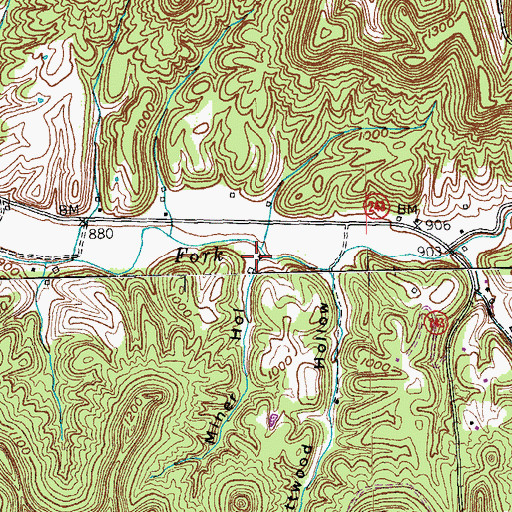 Topographic Map of Miner Hollow, KY