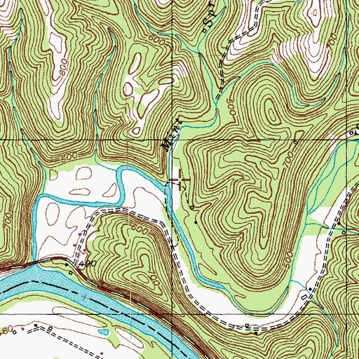 Topographic Map of Mint Spring Branch, KY
