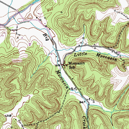 Topographic Map of Moccasin School, KY
