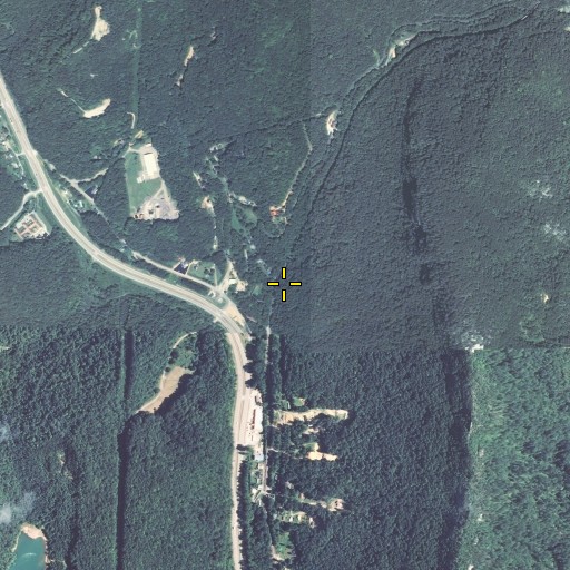 Aerial/Satellite Image of Moore Branch, KY