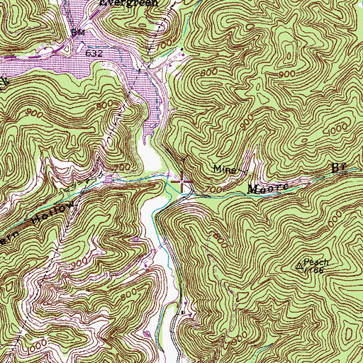Topographic Map of Moore Branch, KY