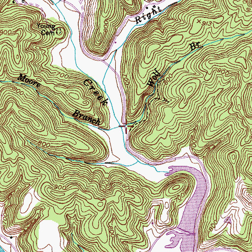 Topographic Map of Moore Branch, KY