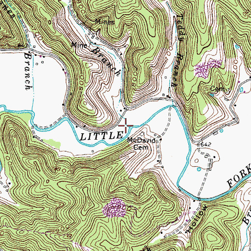 Topographic Map of Moore Branch, KY