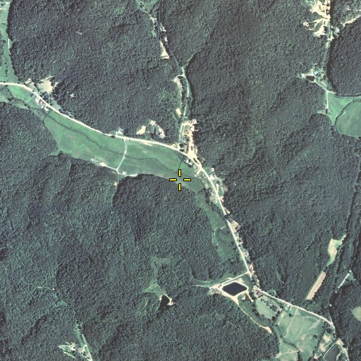 Aerial/Satellite Image of Morris Branch, KY