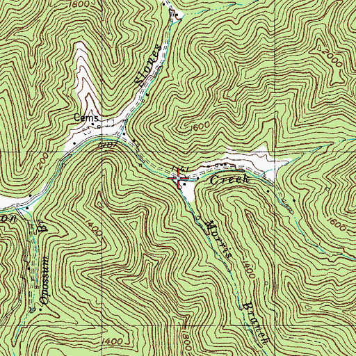 Topographic Map of Morris Branch, KY