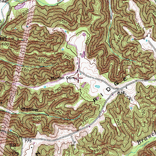 Topographic Map of Morton Cemetery, KY