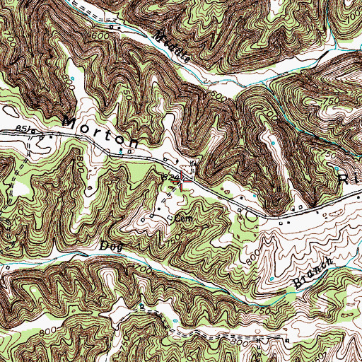 Topographic Map of Morton Ridge, KY
