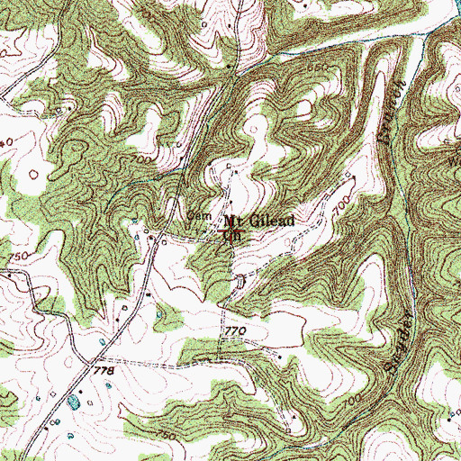Topographic Map of Mount Gilead Church, KY