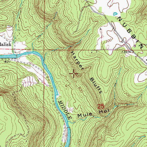 Topographic Map of Harper Bluffs, AR