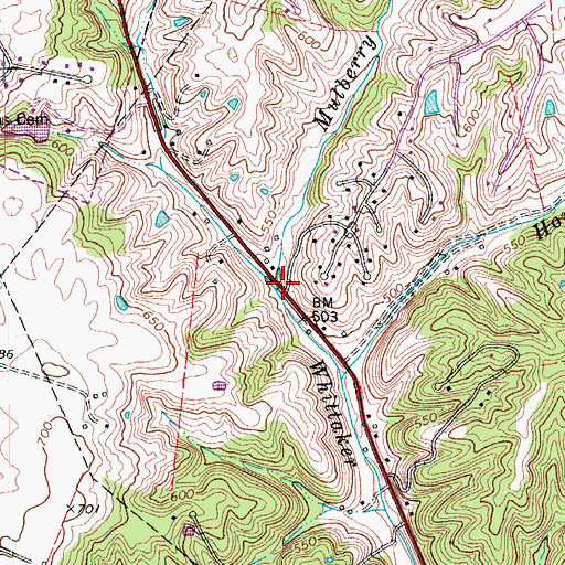 Topographic Map of Mulberry Run, KY