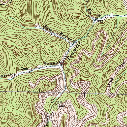 Topographic Map of Mullins Branch, KY