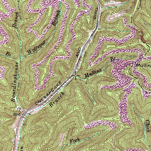 Topographic Map of Mullins Branch, KY