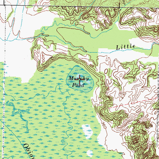 Topographic Map of Murphy Pond, KY