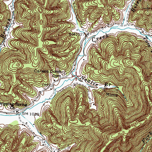 Topographic Map of Nealie Branch, KY