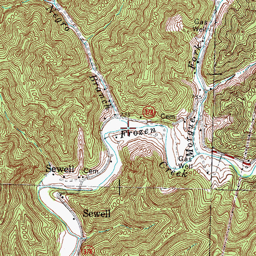 Topographic Map of Lower Negro Branch, KY