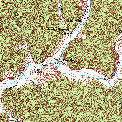 Topographic Map of Negro Branch, KY