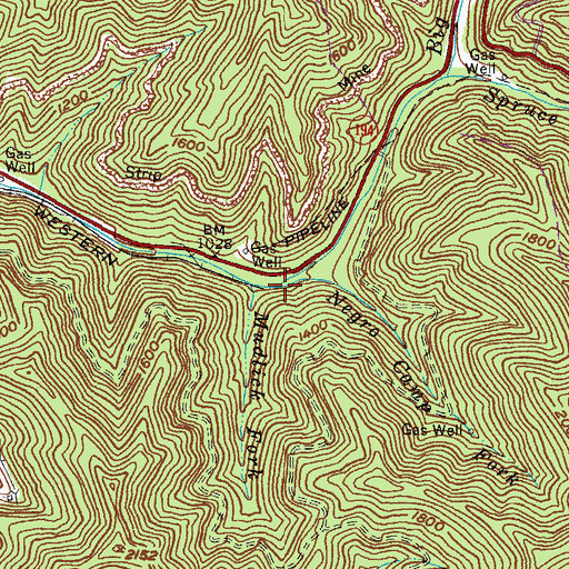 Topographic Map of Negro Camp Fork, KY