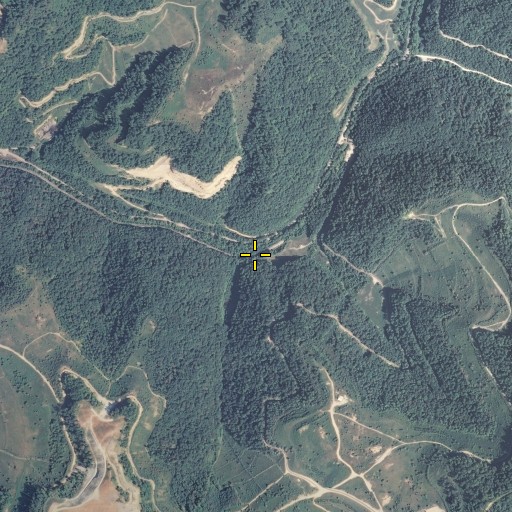 Aerial/Satellite Image of Negro Camp Fork, KY