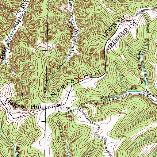 Topographic Map of Negro Hill, KY