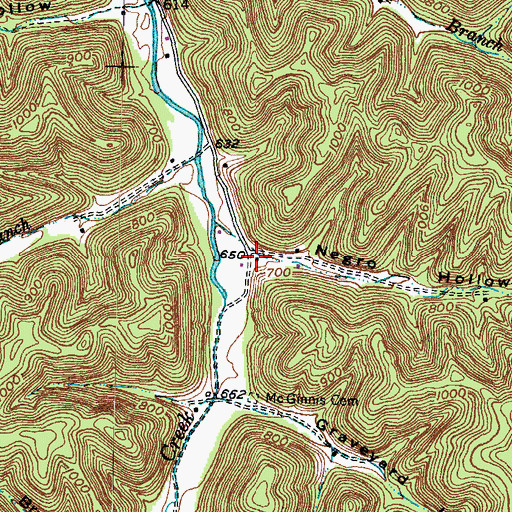 Topographic Map of Negro Hollow, KY