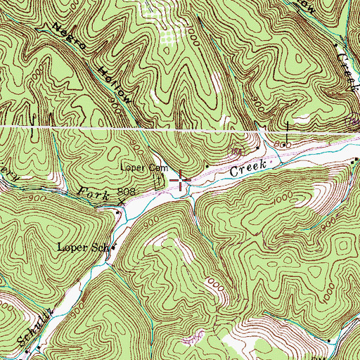Topographic Map of Negro Hollow, KY