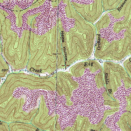 Topographic Map of Nelse Hollow, KY