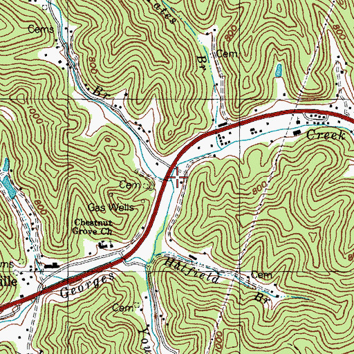 Topographic Map of Nelson Branch, KY