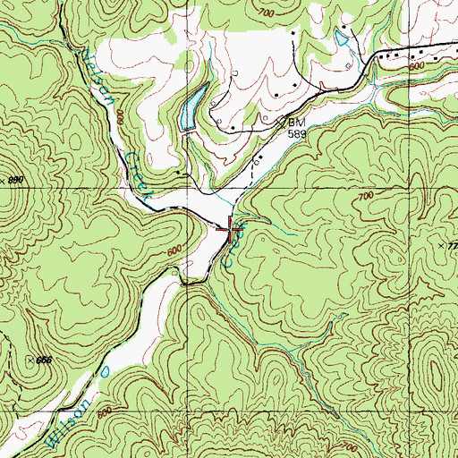 Topographic Map of Nelson Creek, KY
