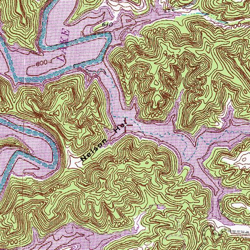Topographic Map of Nelson Hollow, KY