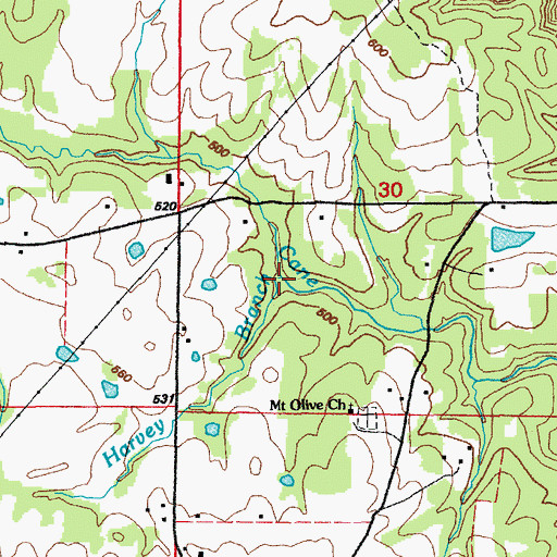Topographic Map of Harvey Branch, AR