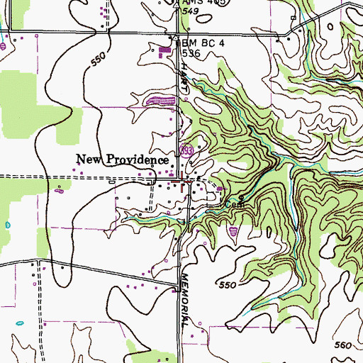 Topographic Map of New Providence, KY