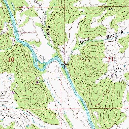 Topographic Map of Havy Branch, AR