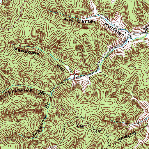 Topographic Map of Newsome Hollow, KY