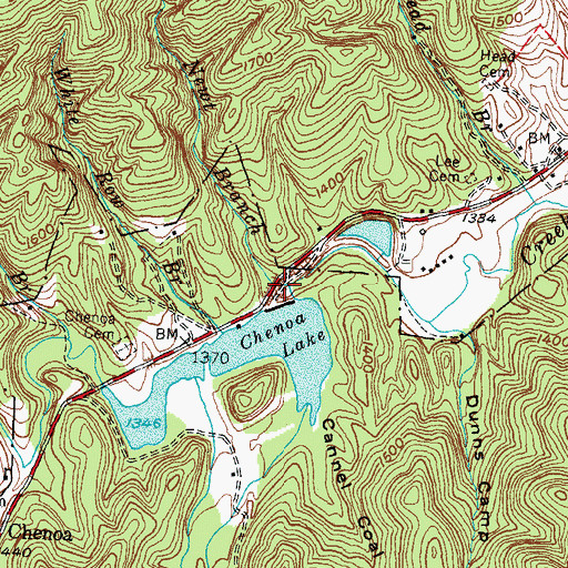 Topographic Map of Newt Branch, KY