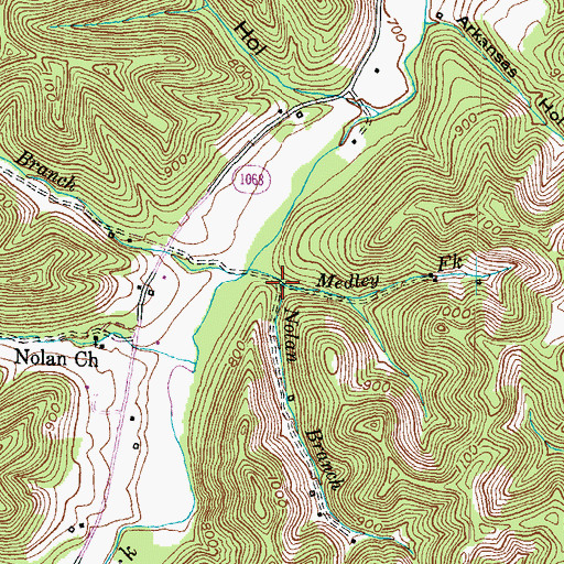 Topographic Map of Nolan Branch, KY