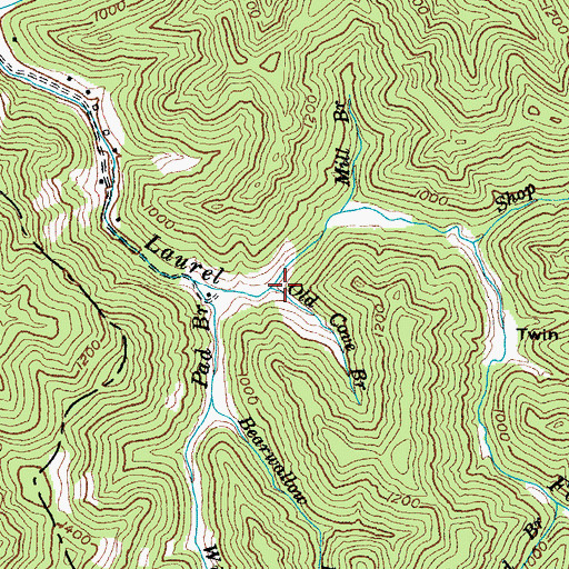 Topographic Map of Old Cove Branch, KY
