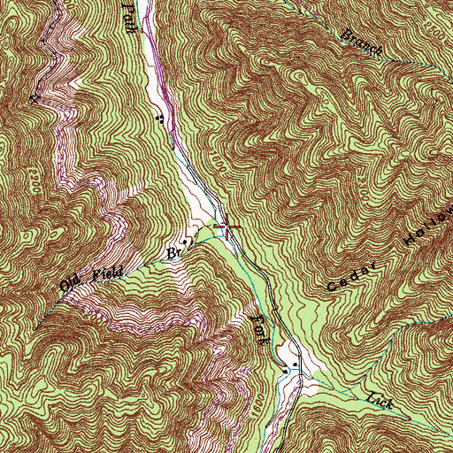 Topographic Map of Old Field Branch, KY