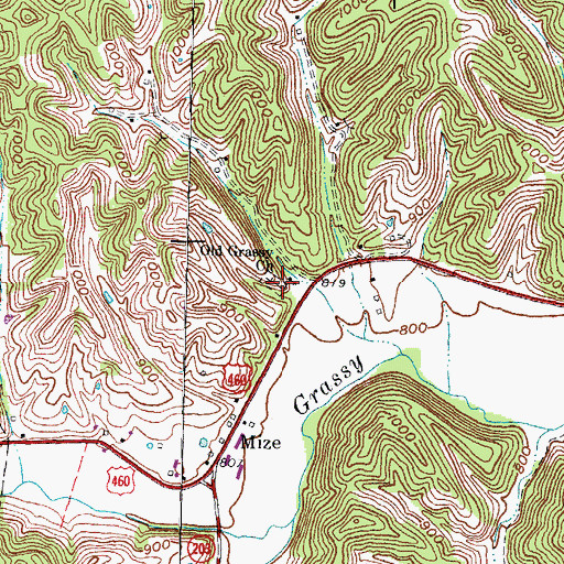 Topographic Map of Old Grassy Church, KY