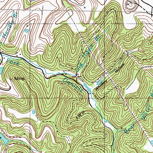 Topographic Map of Old Home Branch, KY