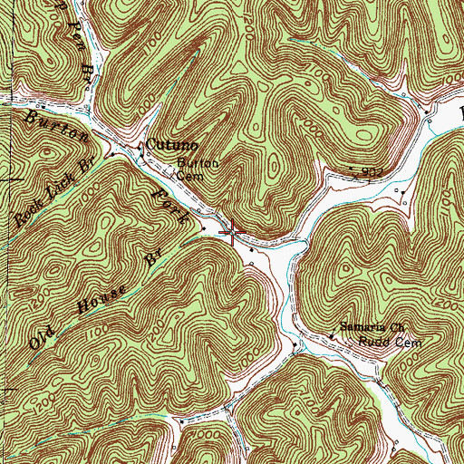 Topographic Map of Old House Branch, KY