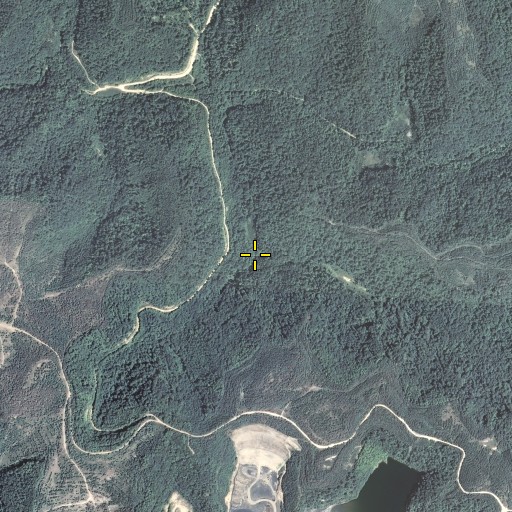 Aerial/Satellite Image of Oney Branch, KY