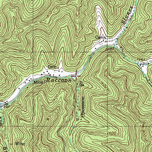 Topographic Map of Opossum Branch, KY