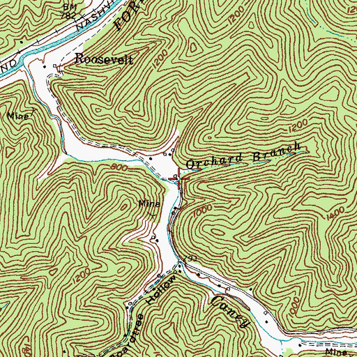 Topographic Map of Orchard Branch, KY