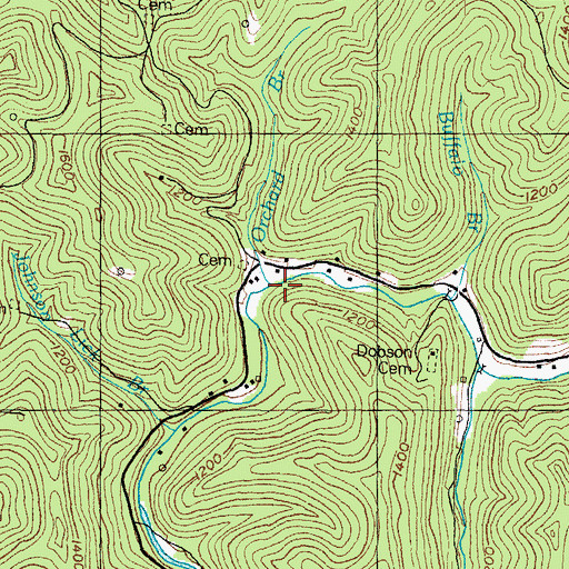 Topographic Map of Orchard Branch, KY