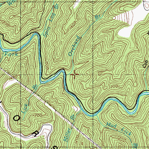 Topographic Map of Orchard Branch, KY