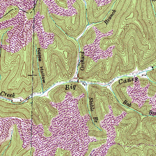 Topographic Map of Orchard Branch, KY