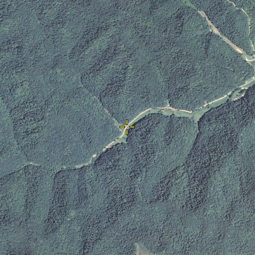 Aerial/Satellite Image of Orchard Branch, KY