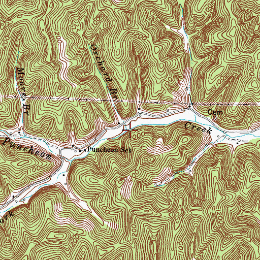 Topographic Map of Orchard Branch, KY