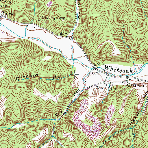 Topographic Map of Orchard Hollow, KY